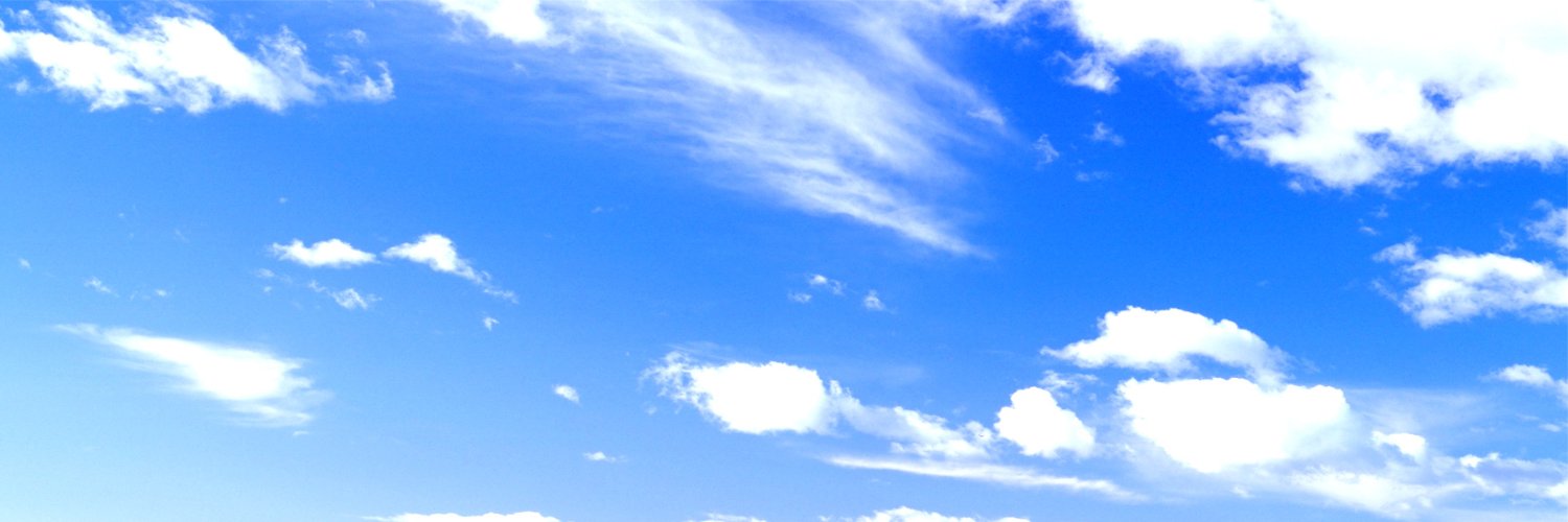scheiber's profile banner image
