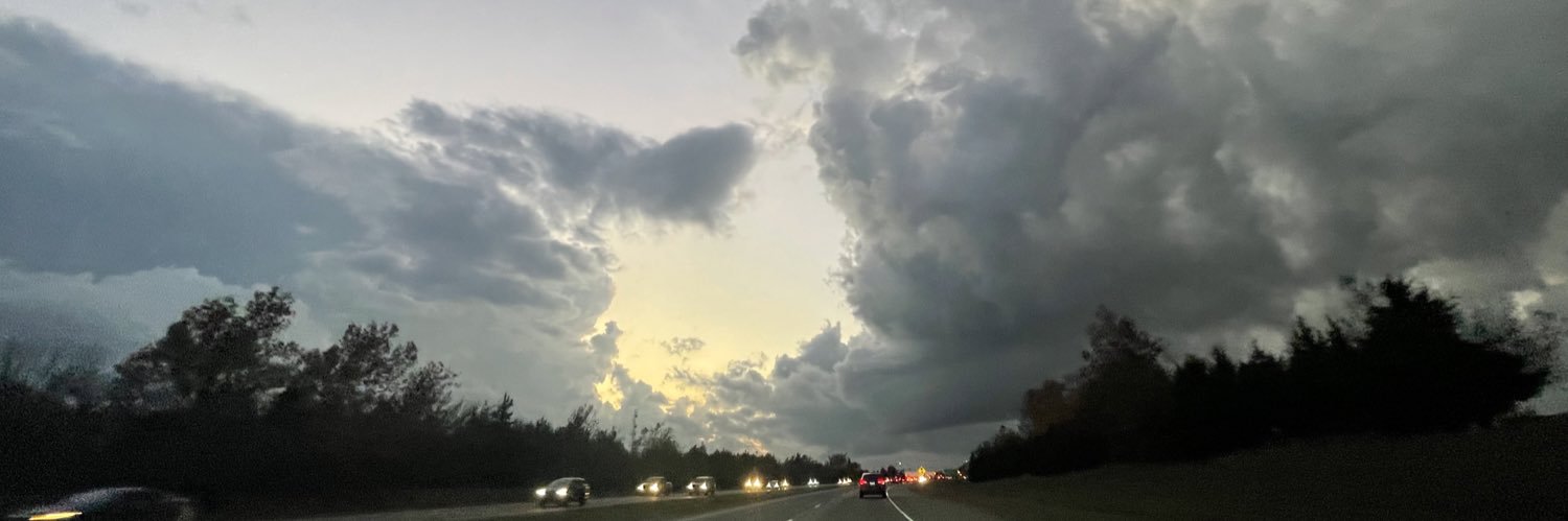 “Dollar Tree Reed Timmer” banner