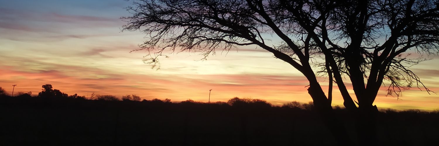 juliaranda11's profile banner image