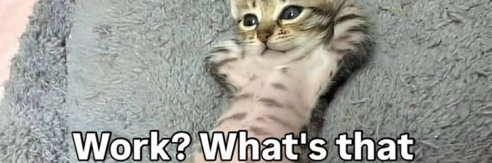 なにぬねこ banner