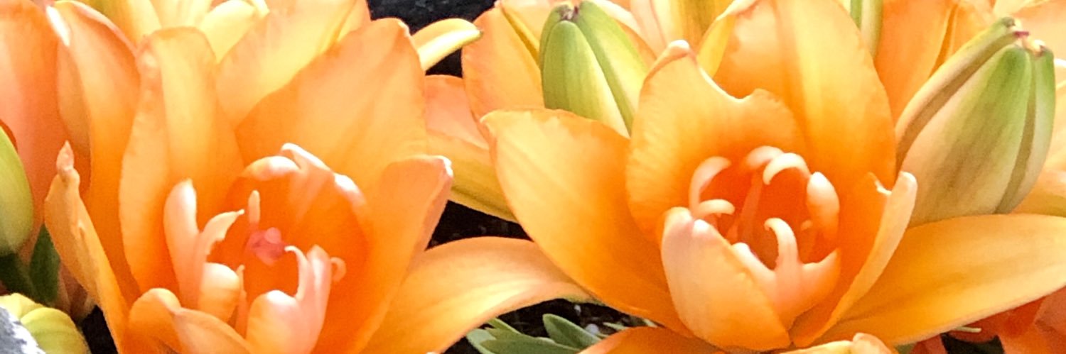 Debra Locker Griffin banner
