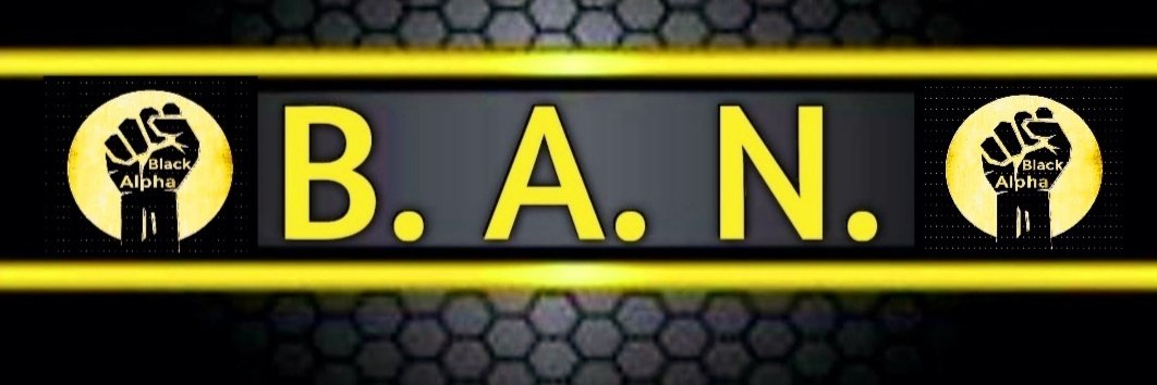 Black Alpha Network's banner