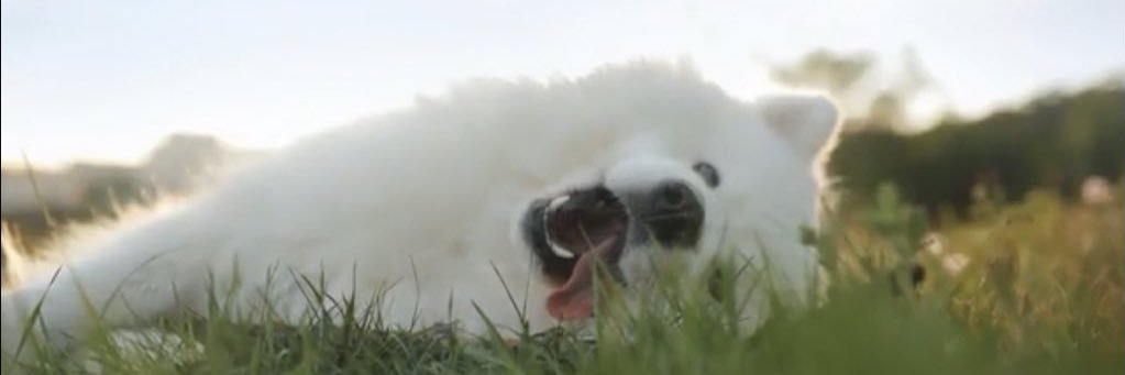 りゅんかー banner