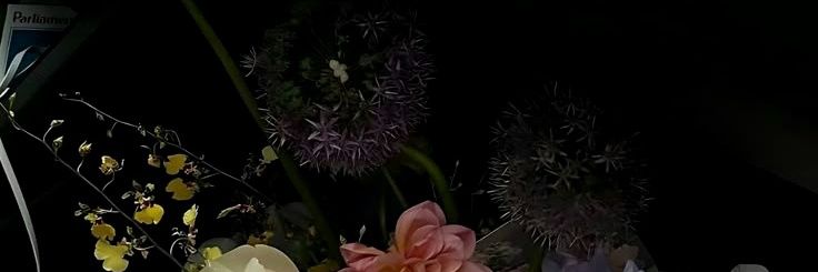 trajectorries's profile banner image