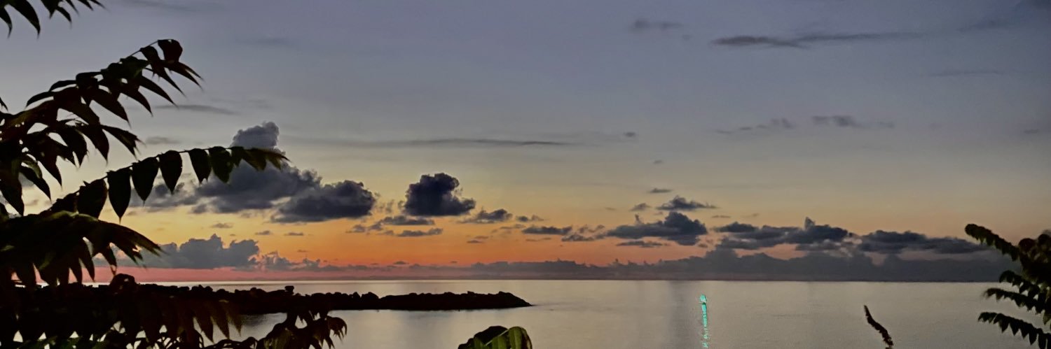 𝓐𝓵𝓮𝔂𝓷𝓪 banner