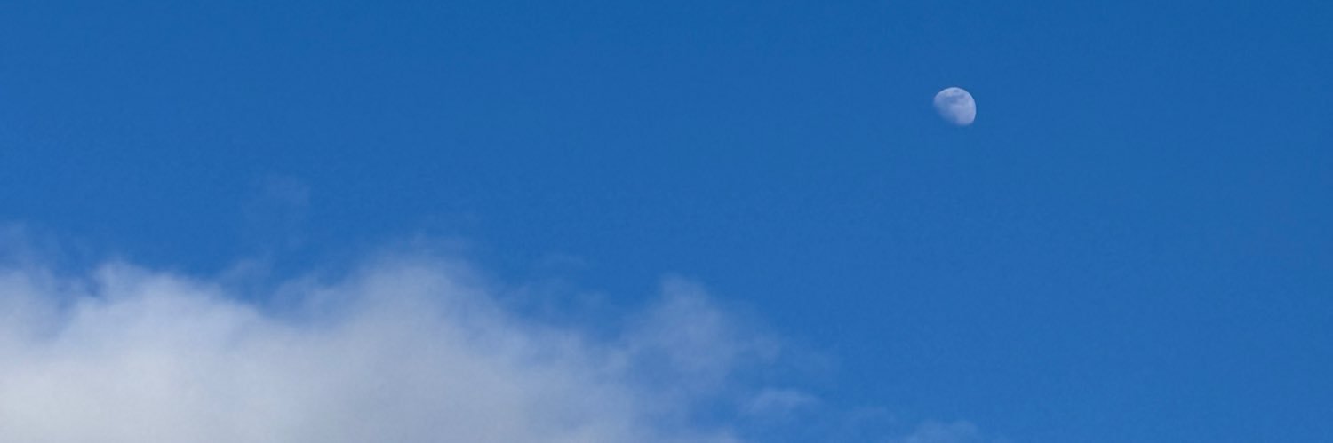 Melissa Kester banner