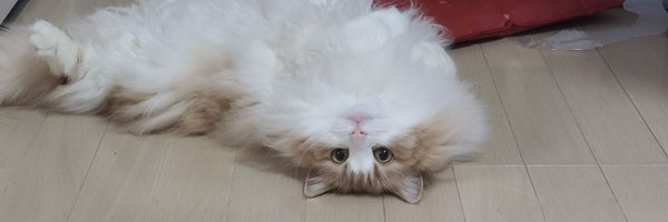 TAMTAMdrummer Profile Banner