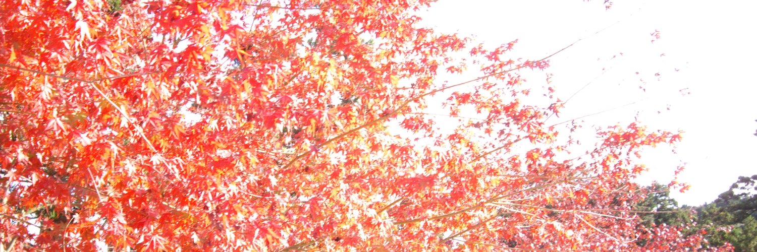 オットー・ジャーク banner