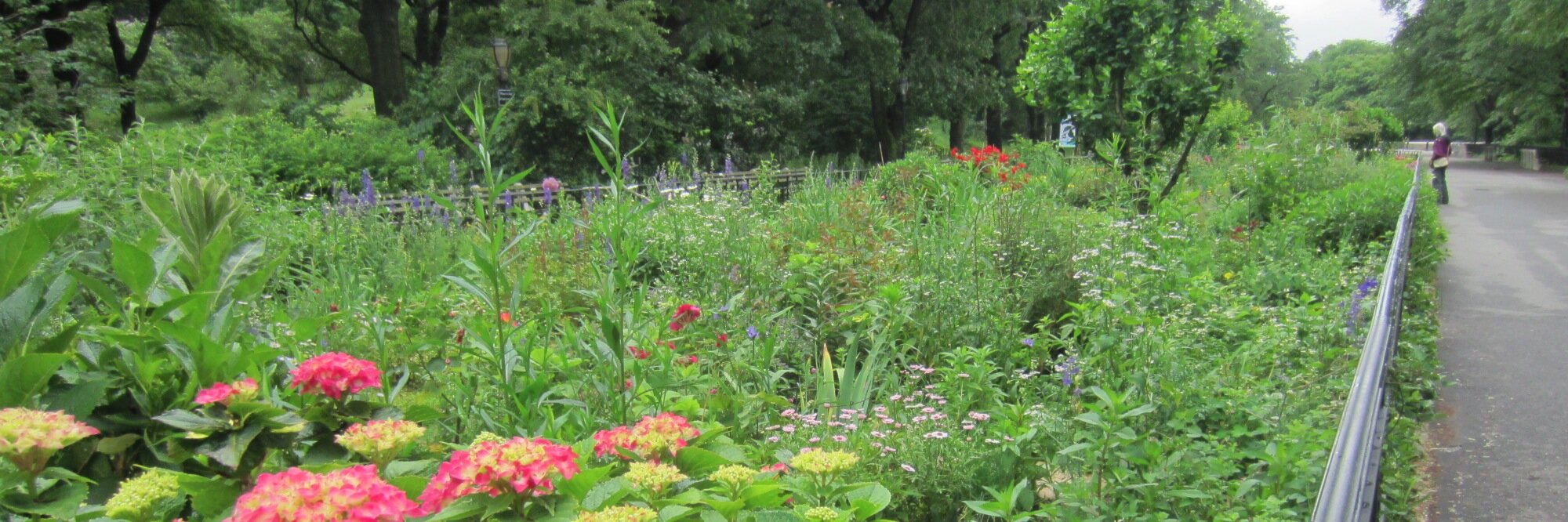 Jennifer Locke banner