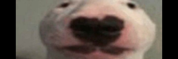 HerIntuitions's profile banner image