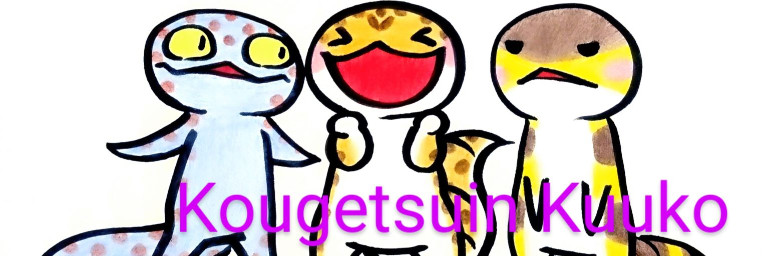 皎月院空狐 banner