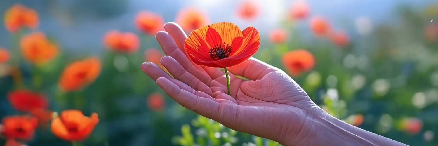 Roberto Cecchi banner