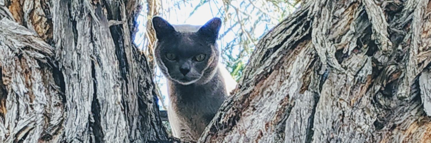 Brian Cooper, ex-producer of small motile gametes banner