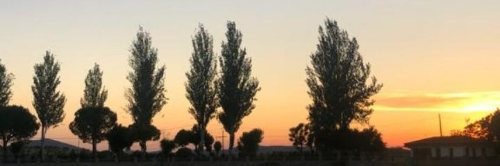 isabeel_14's profile banner image
