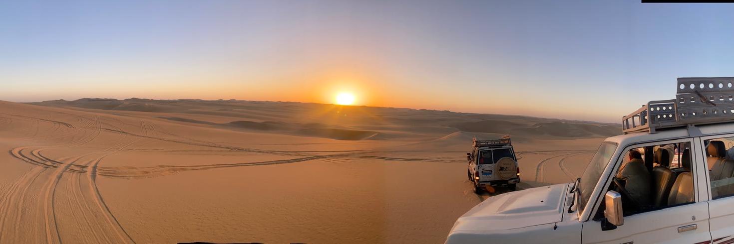 Stephen Chambers banner