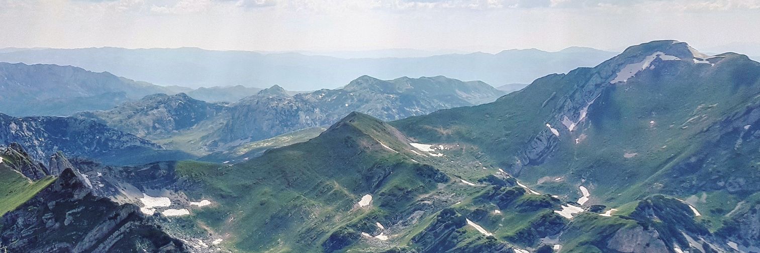 Gintare Bucaite banner