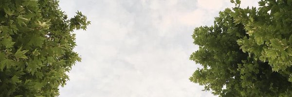 sahin_mus Profile Banner