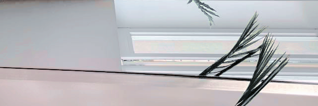 Winter. banner