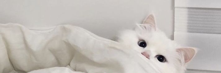 skzzomnia's profile banner image