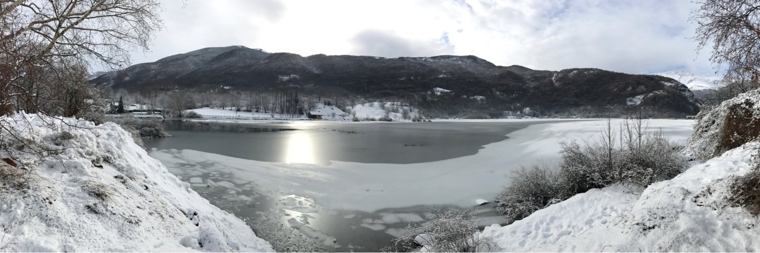 carlos ferrando lahoz banner