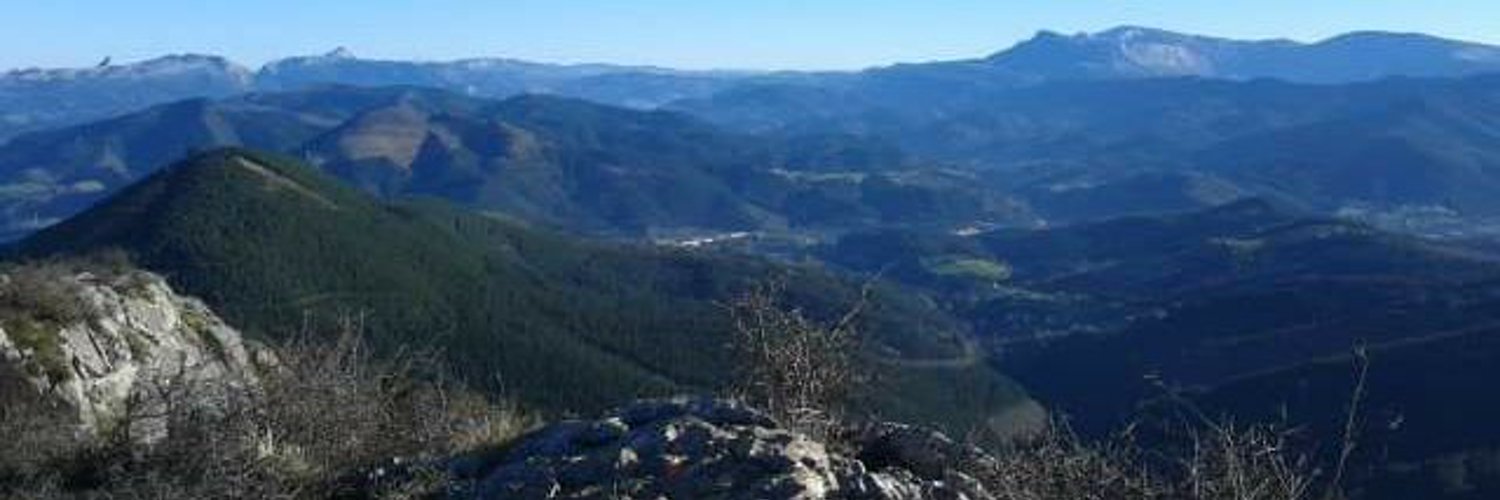 Leire Pinedo (leire_pinedo) / Twitter