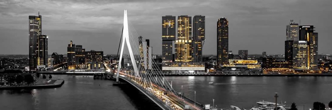 Norbert de Boer banner