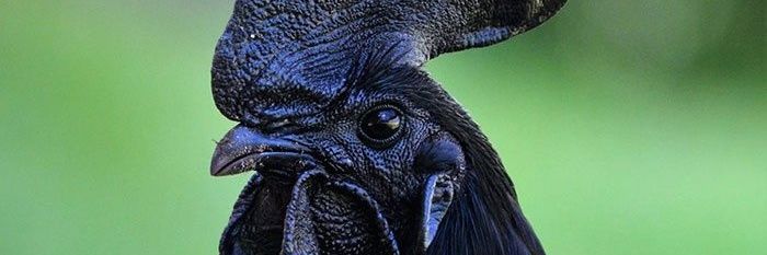 not2dpoint_'s profile banner image