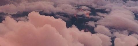 Emily Buri banner