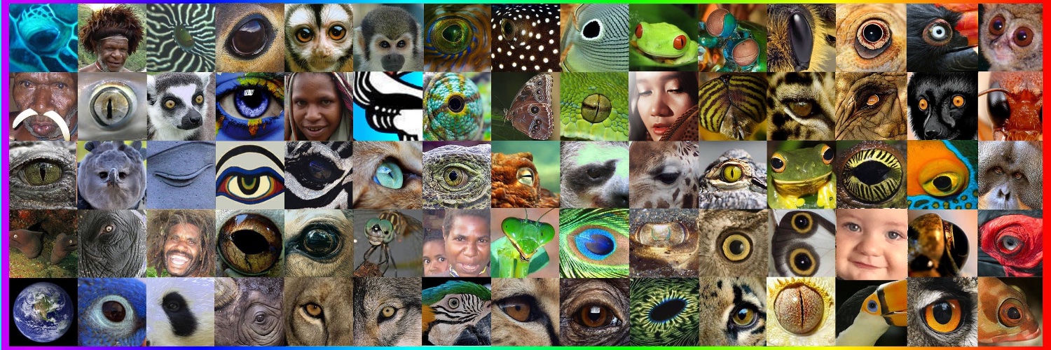 Eyes of the World Films banner