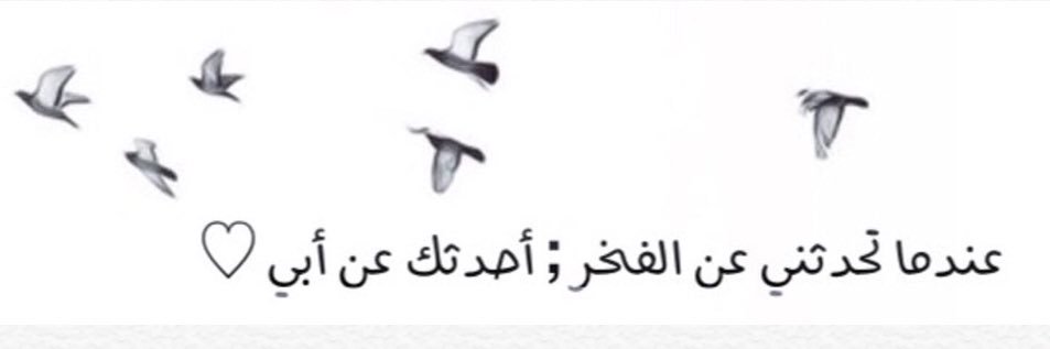 norahbadry's profile banner image