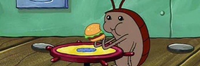 uhhh sorry 🪩 banner