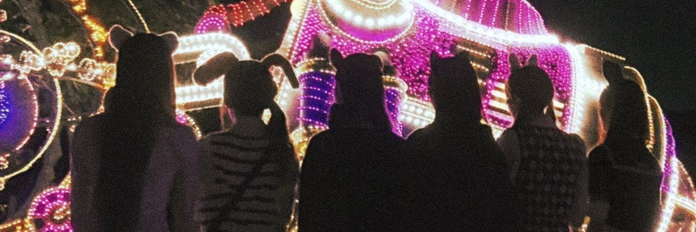 foreveryoung˖🐱🐰ೀ🍀⋆.˚ banner