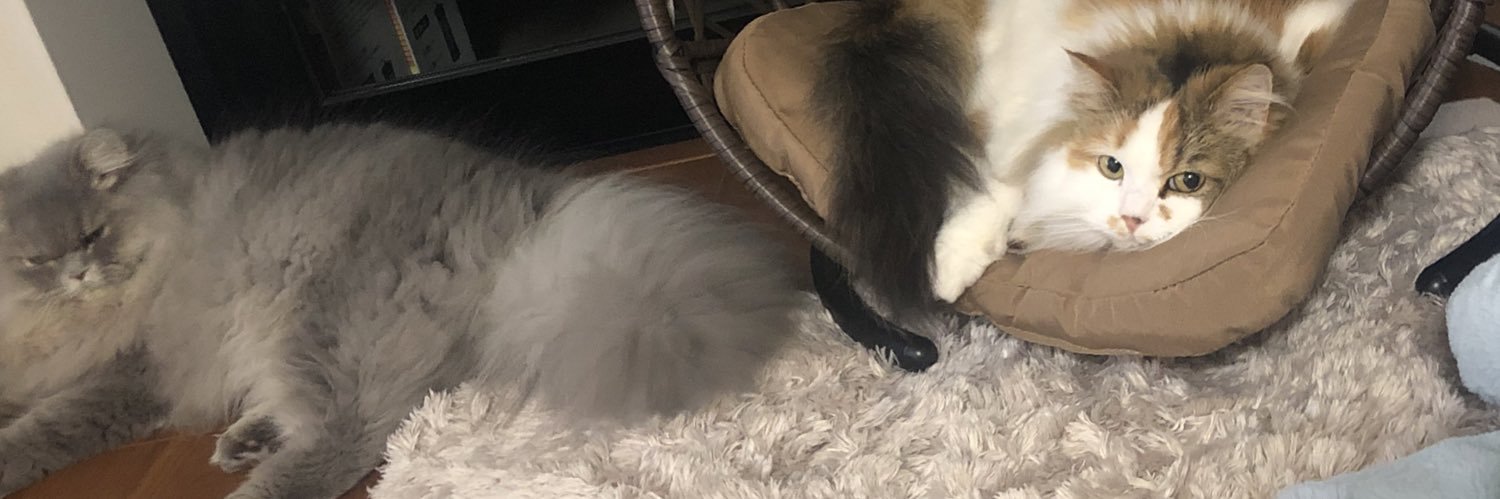 ava_keesi's profile banner image