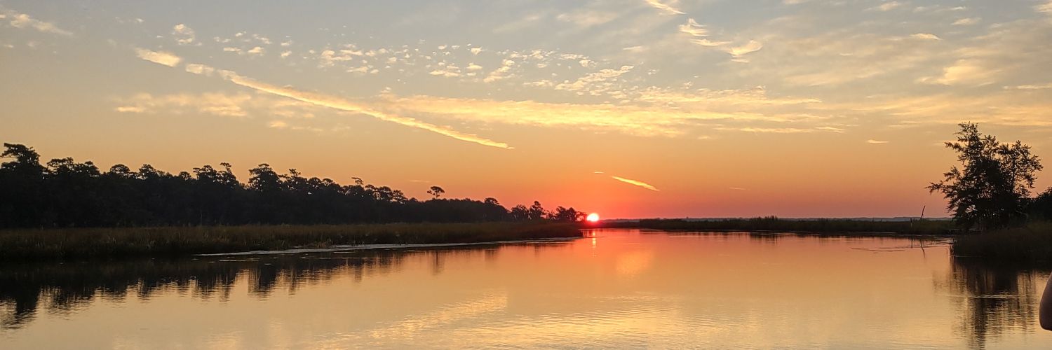 Susan Carriker banner