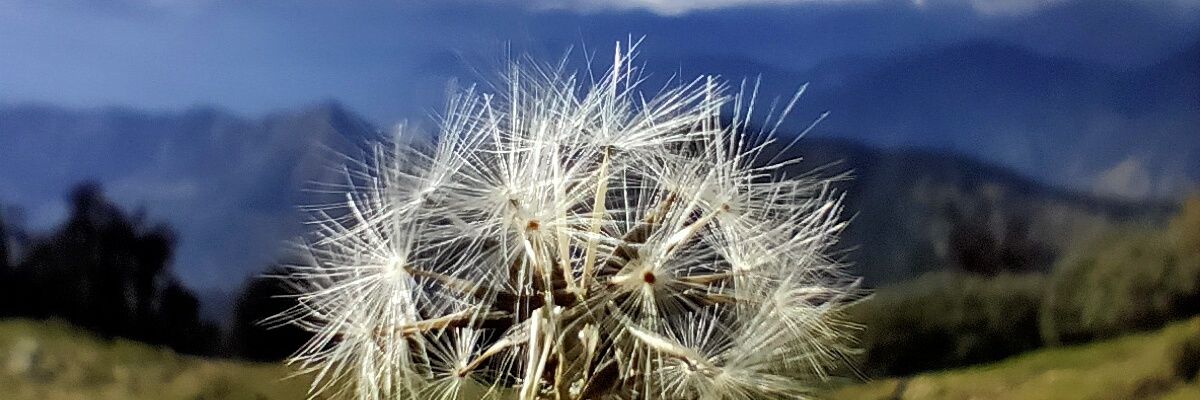 is_shrey's profile banner image