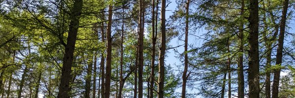 jdwoof Profile Banner