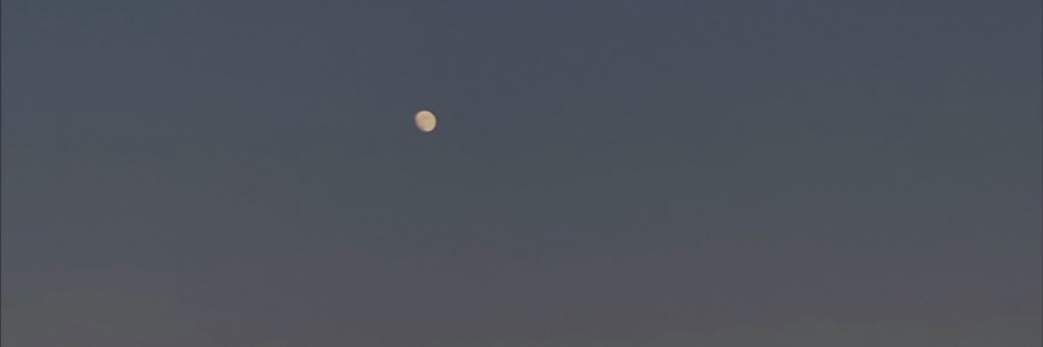 msramusmul's profile banner image