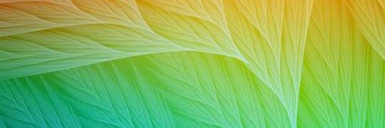 criptonewbie030's profile banner image