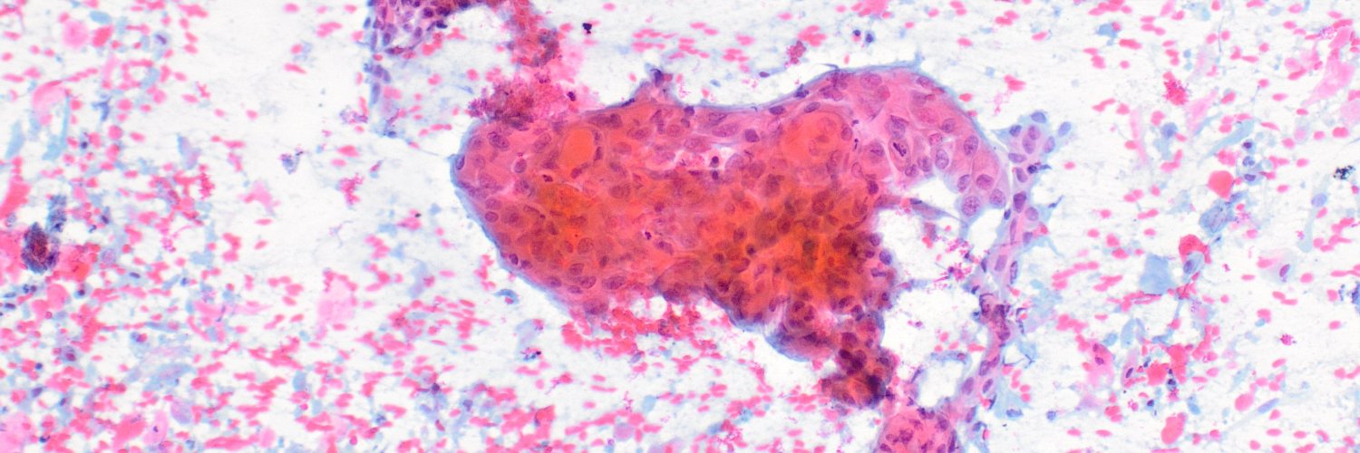 Philippe Stephenson, MD banner