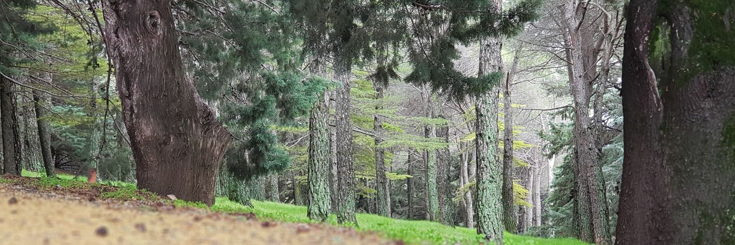 eliashaddad_'s profile banner image