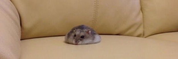 thinking about luda banner
