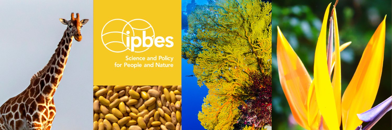IPBES en français Profile Banner