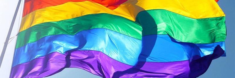 LesbianLass's profile banner image