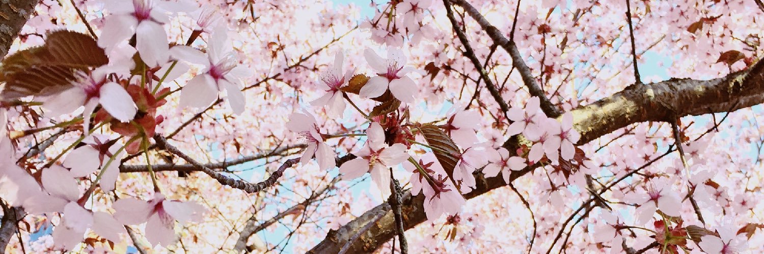 NgocHongJ's profile banner image