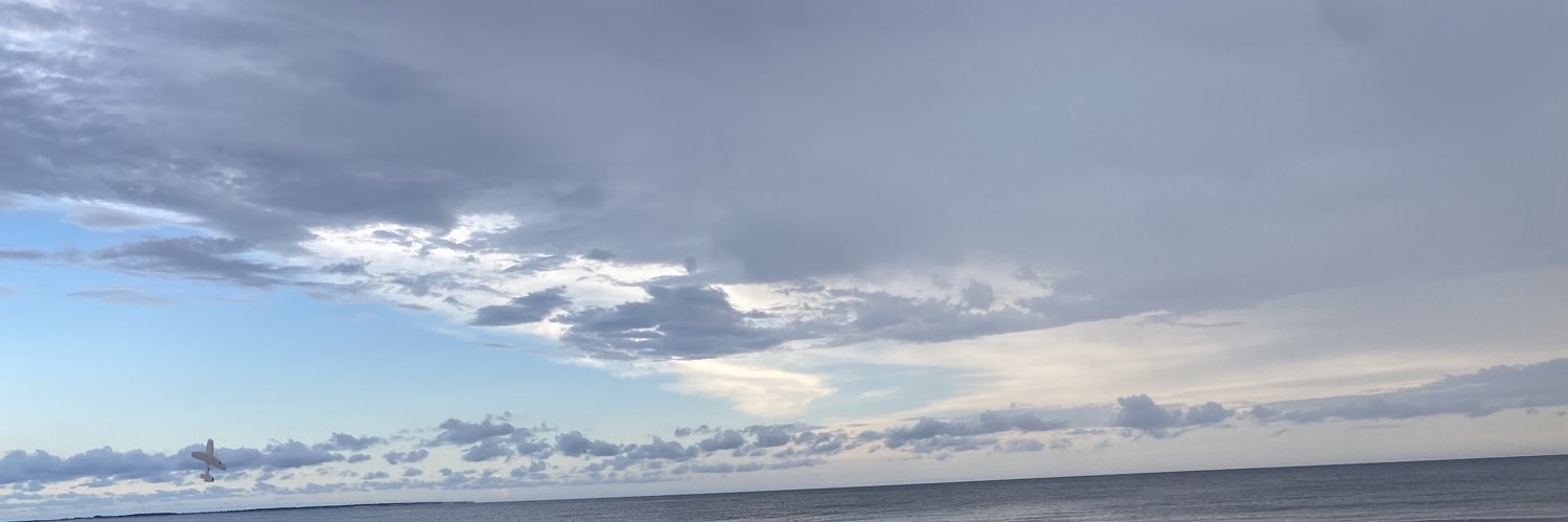 Megan Crombie banner