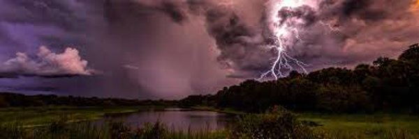 TheBertOfficial Profile Banner