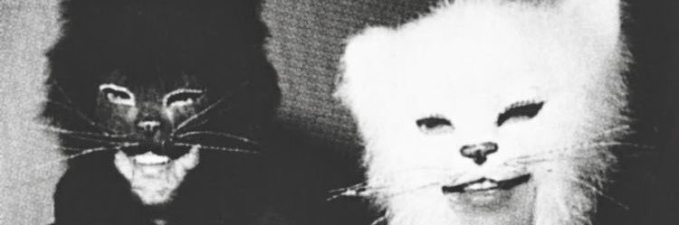 NatachaCortez's profile banner image