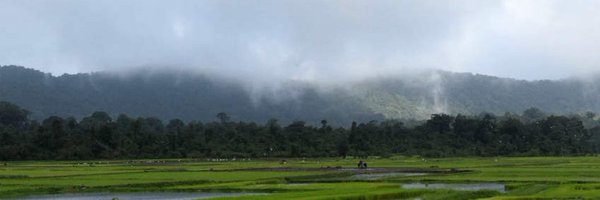 RainTracker Profile Banner