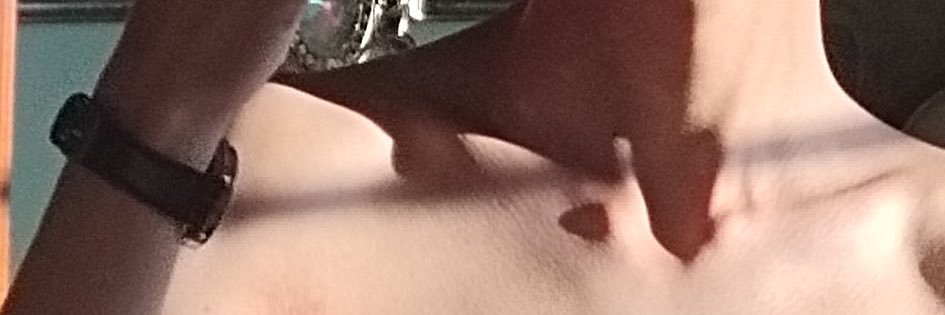 拿铁Carr banner