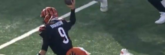 Junglelander a.k.a Parlay Papi a.k.a Bad Beat Papi banner